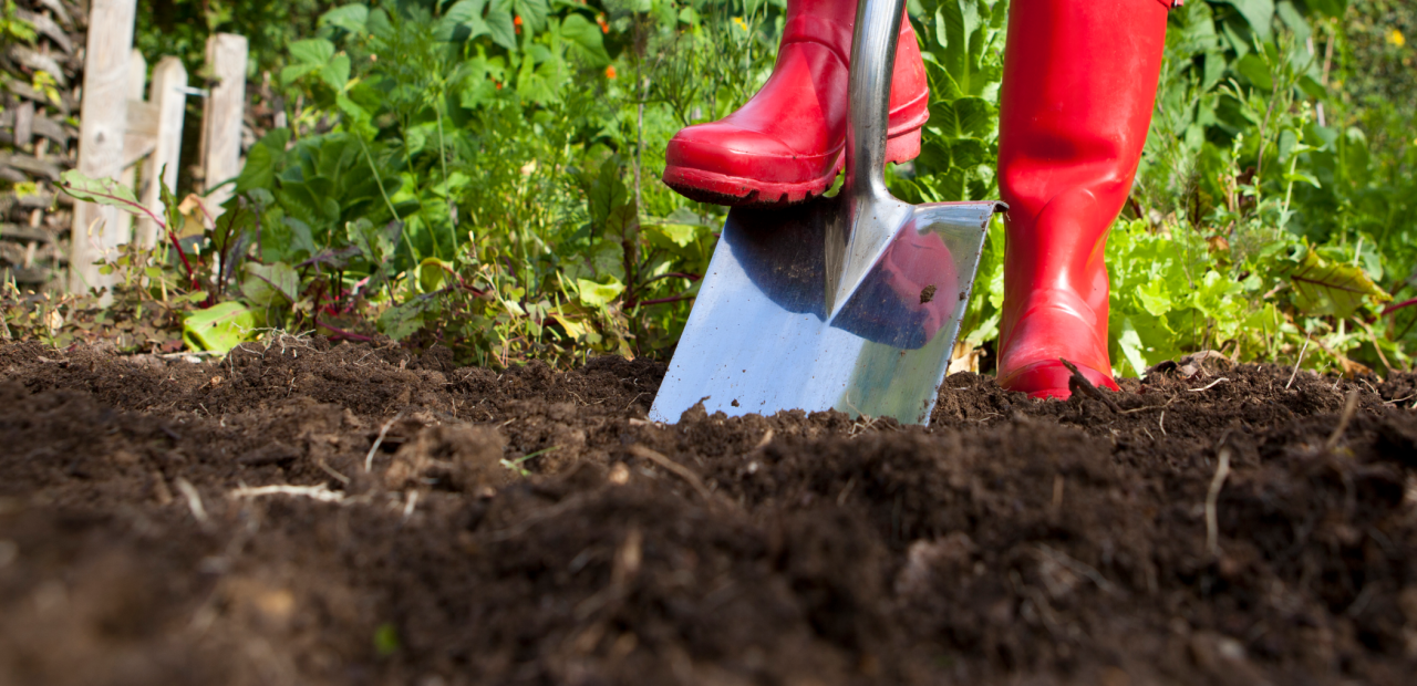 Een nieuwe tuin vol cementbrokken, piepschuim en een dikke staalkabel: ‘Geen gras wil hier groeien’