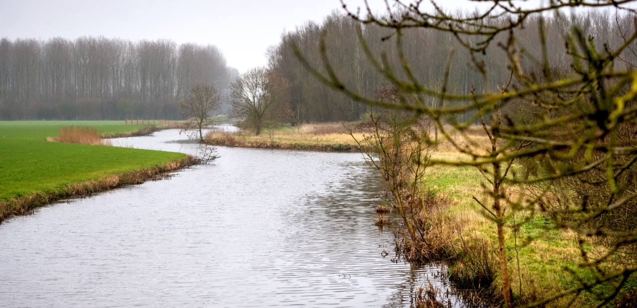 Afbeelding met daarop de Jelsumer Feart
