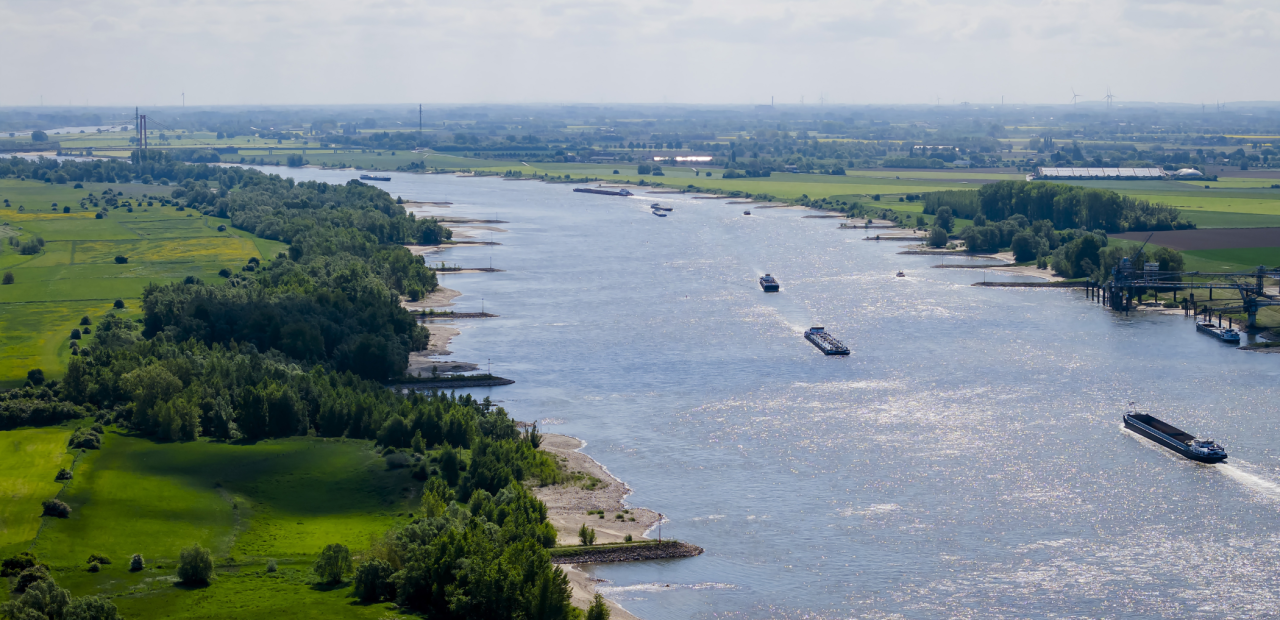 Hoe rein is de Rijn?