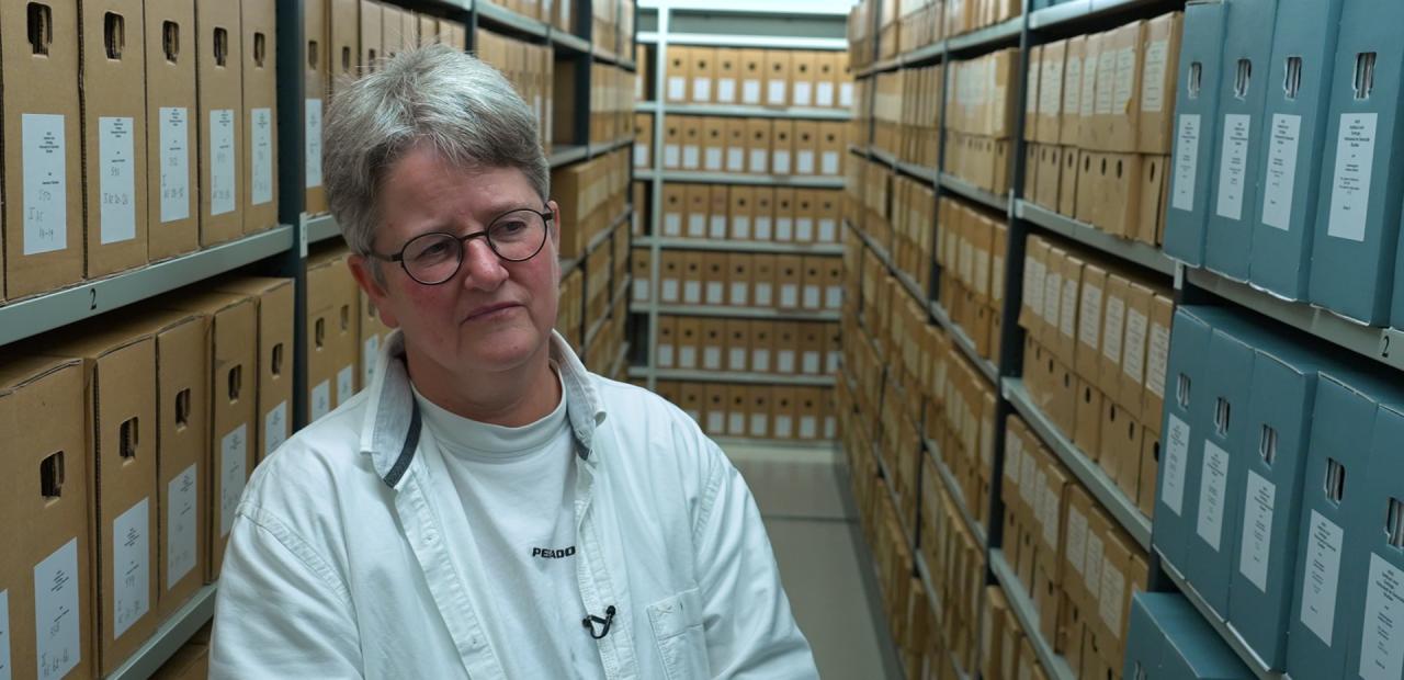 Alette Smeulers over oorlogsmidadigers