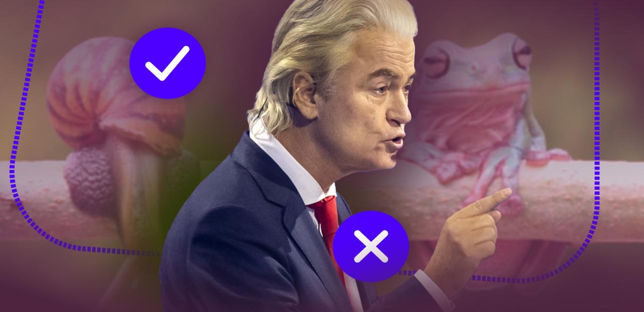 Afbeelding met Geert Wilders Afbeelding met Geert Wilders