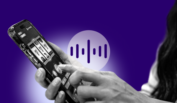 Gokkers onder bewind