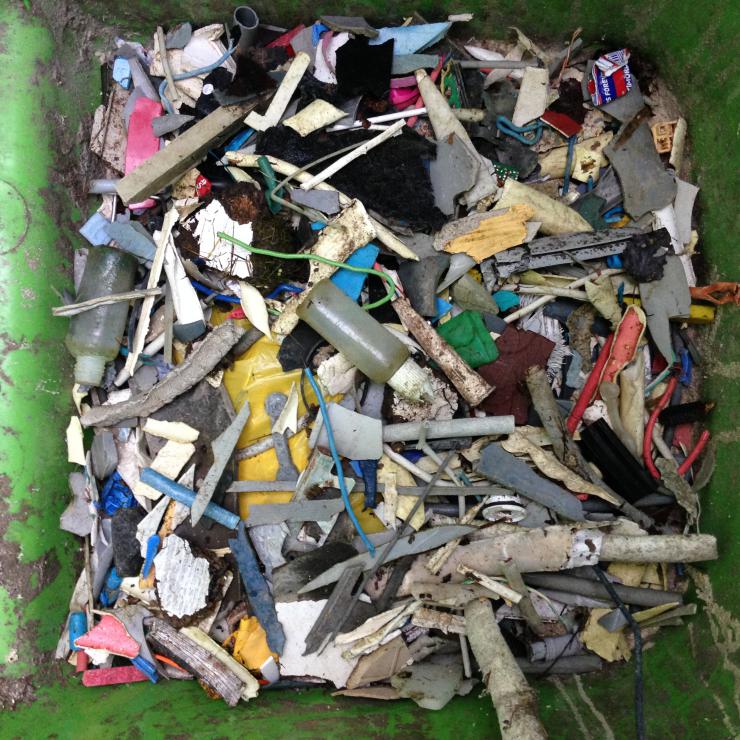 De 50 kilo afval die Tom van Spanje raapte in natuurgebied de Houtrak De 50 kilo afval die Tom van Spanje raapte in natuurgebied de Houtrak