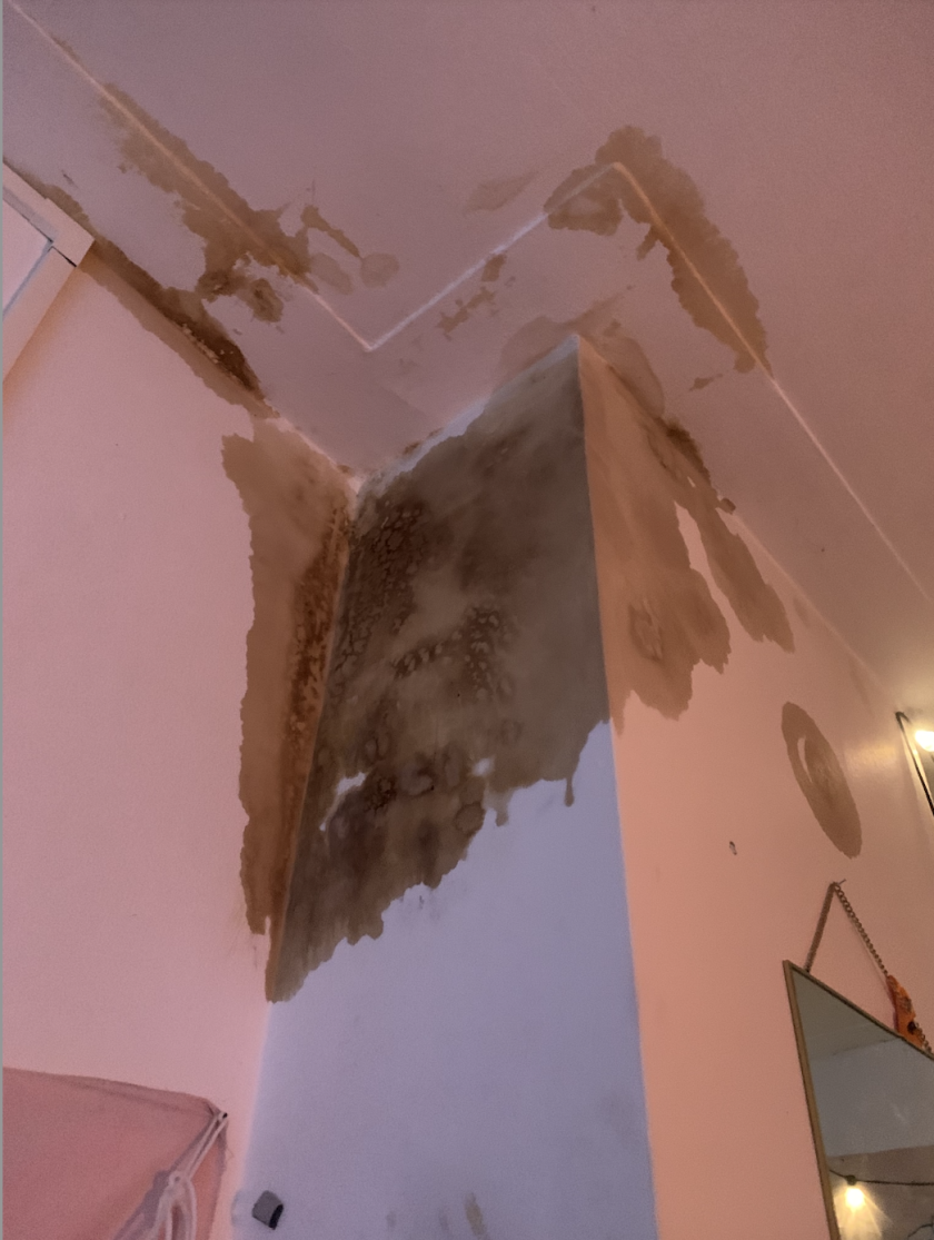 De lekkage op de kamer van Maud