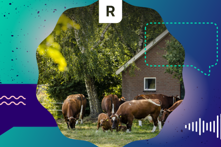 Uitbreidende boeren