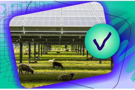 Zonnepanelen