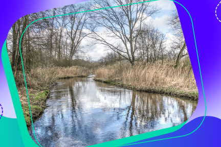 De Dommel