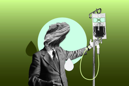 Headers nieuws podcasts misinformatie