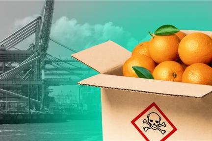 Chloorpyrifos Header