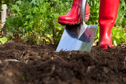 Een nieuwe tuin vol cementbrokken, piepschuim en een dikke staalkabel: ‘Geen gras wil hier groeien’