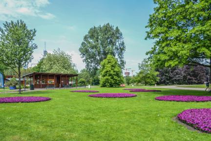 Bloemperken in het Amstelpark / Dreamstime Robert Van 't Hoenderdaal