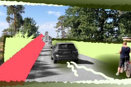 Natuurgebied Radio Kootwijk, Veluwe