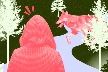 Angst voor de wolf: het Roodkapje-syndroom?