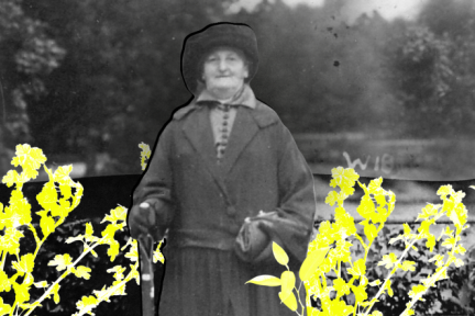 heintjeheader1.png