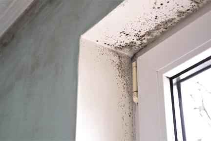 Voorbeeld van een beschimmelde woning / Getty Images - Fezviie Ryman