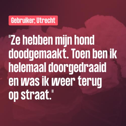 'Ze hebben mijn hond doodgemaakt'