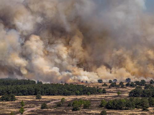 Grote donkere rookpluimen en een verbrande natuur