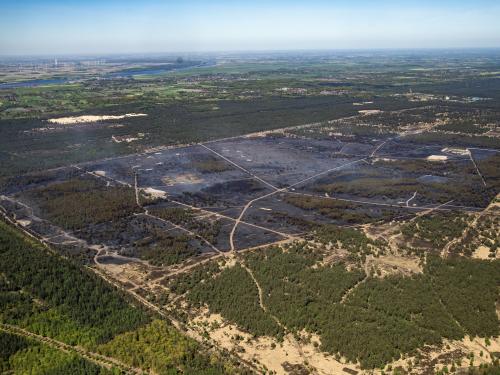 De verbrande natuur na het blussen