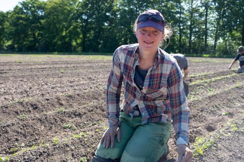 Biologische boer Linde op het land