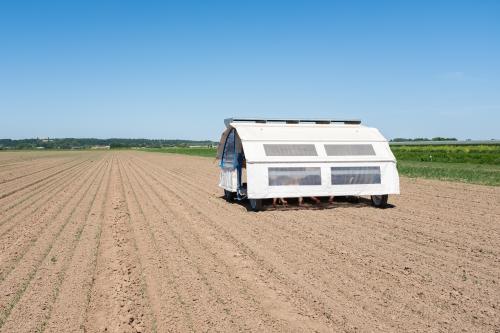 Pesticide-vrij onkruid plukken