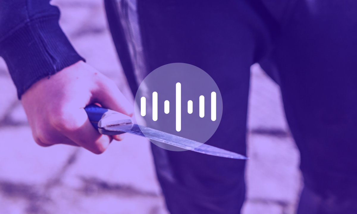 Pointer pop-up: de impact van jeugdcriminaliteit