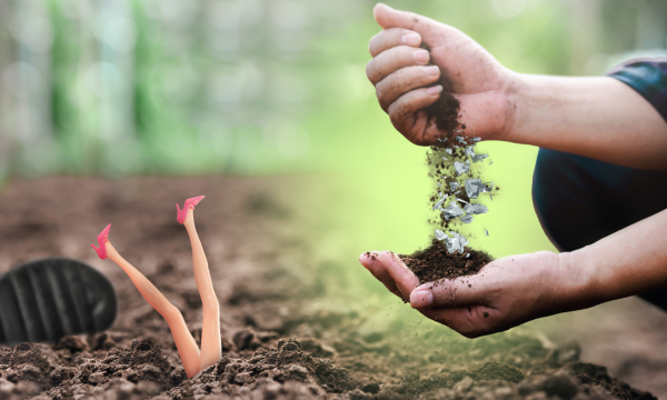 Tuinaarde-barbiepoppen-schoenzolen-nieuwe-tuin-header