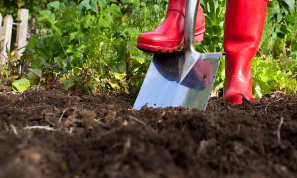Een nieuwe tuin vol cementbrokken, piepschuim en een dikke staalkabel: ‘Geen gras wil hier groeien’