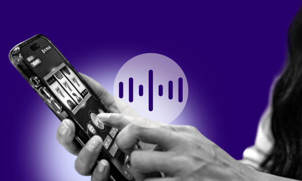 Gokkers onder bewind