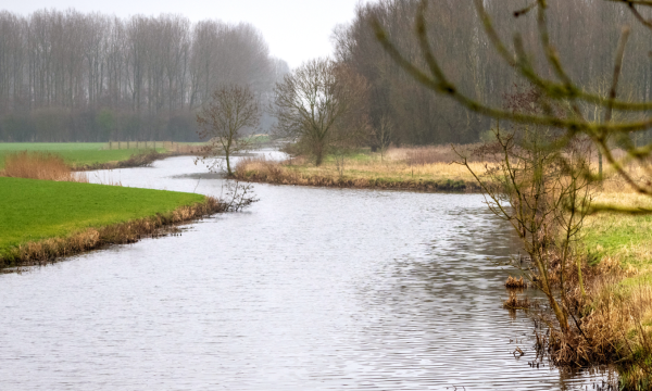 Afbeelding met daarop de Jelsumer Feart