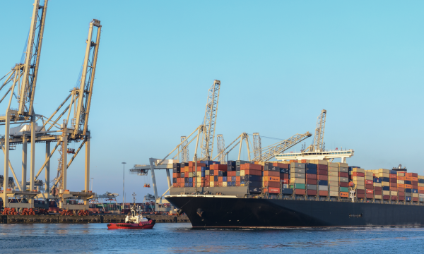 De haven van Rotterdam