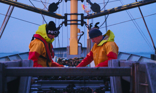 Twee mosselvissers op kotter 